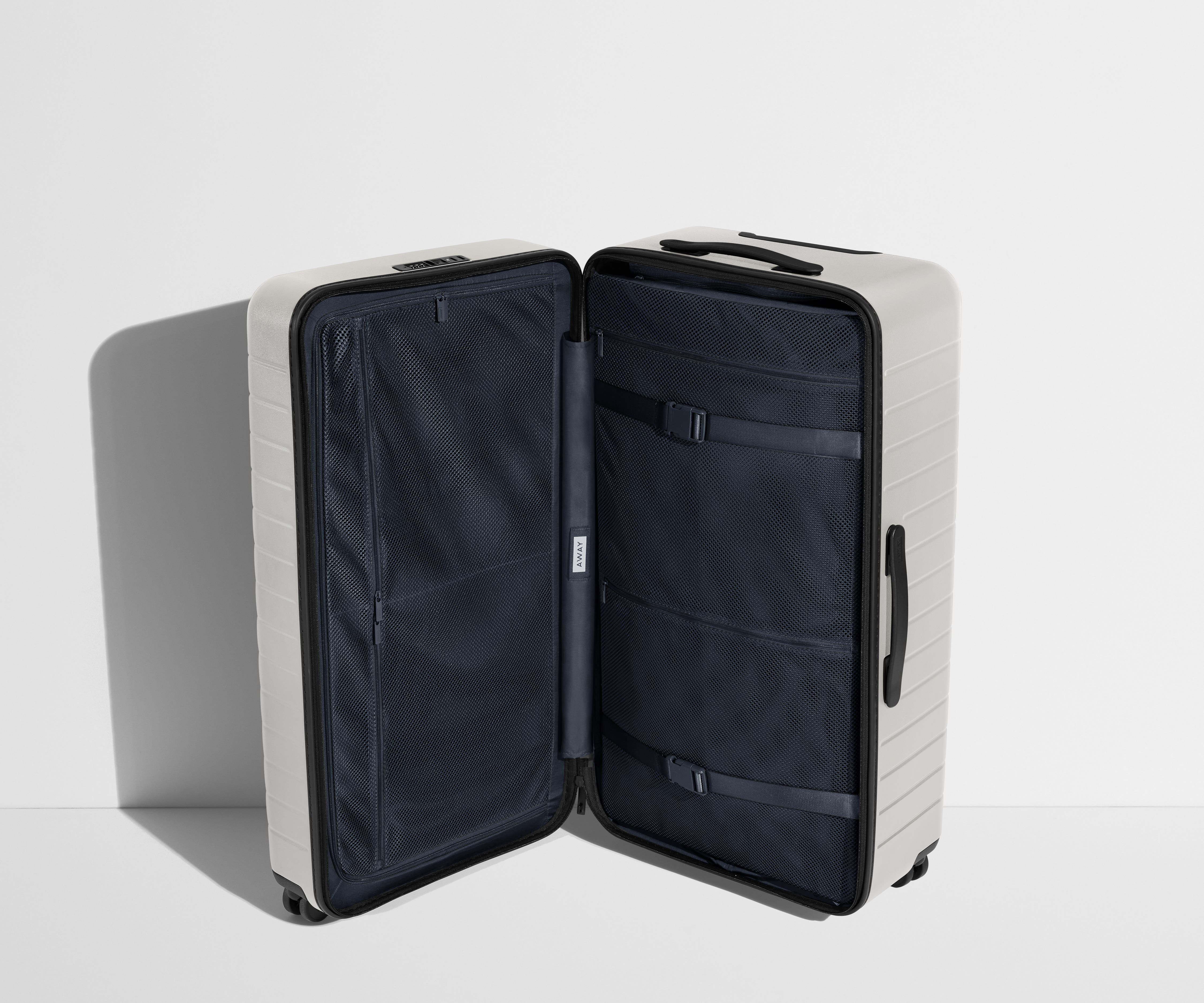 The Trunk in Cloud Gray