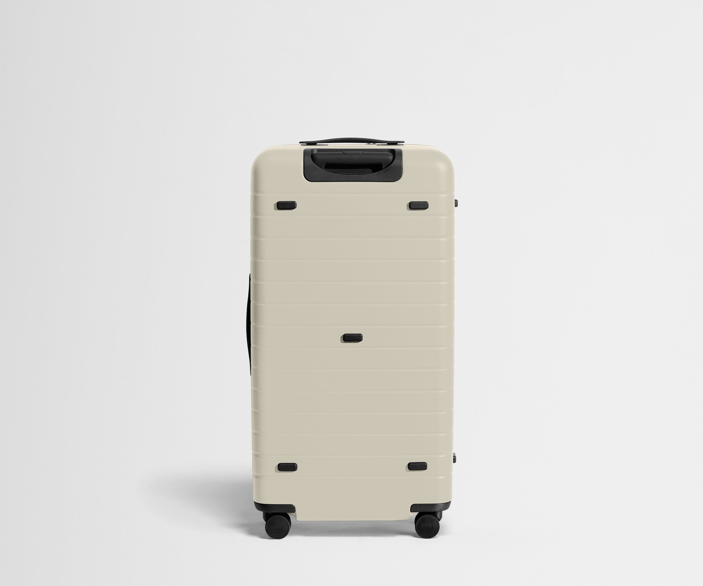 The Trunk in Salt White
